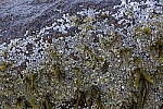 Click to see Y_DSC0362-f11.0.JPG