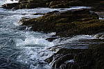 Click to see Y_DSC0454.JPG