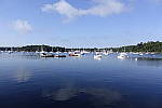 Click to see Y_DSC0484.JPG
