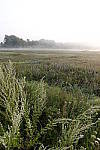 Click to see Y_DSC0706.JPG