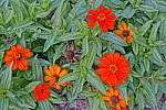 Click to see Y_DSC0765-Painting.JPG