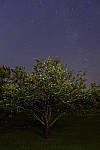 Click to see Y_DSC1142.JPG