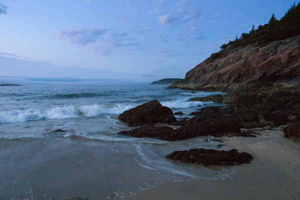 Sony RX100 IV Field Test -- Gallery Image