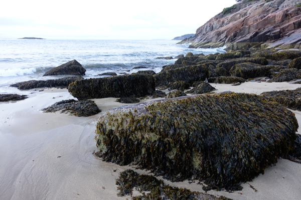 Sony RX100 IV Field Test -- Gallery Image