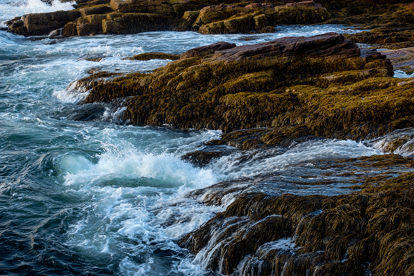 Sony RX100 IV Field Test -- Gallery Image