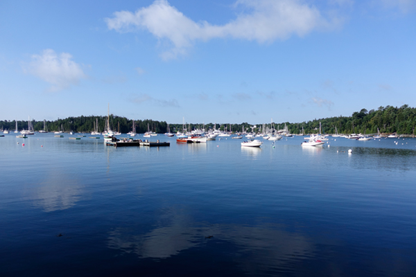 Sony RX100 IV Field Test -- Gallery Image