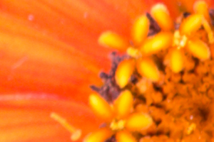 Sony RX100 IV Field Test -- Noise Test Image