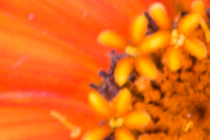 Sony RX100 IV Field Test -- Noise Test Image
