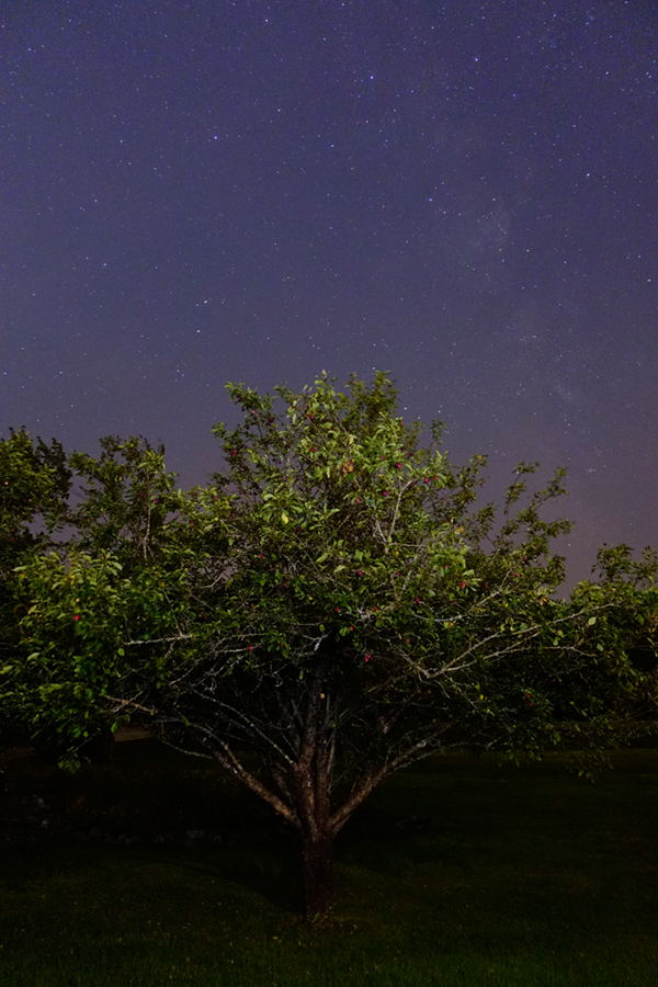 Sony RX100 IV Field Test -- Gallery Image