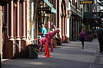 Click to see Y-DSC00012_NYC.JPG