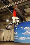 Click to see Y-DSC00340_NYC.JPG