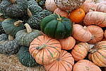 Click to see Y-JS-DSC01299.JPG