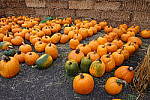 Click to see Y-JS-DSC01301.JPG