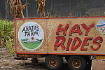 Click to see Y-JS-DSC01304.JPG