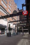 Click to see Y-WB-DSC08505.JPG