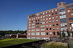 Click to see Y-WB-DSC08522.JPG