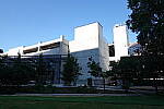 Click to see Y-WB-DSC08534.JPG