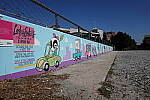 Click to see Y-WB-DSC08555.JPG