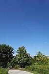 Click to see Y-WB-DSC08574.JPG