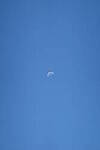 Click to see Y-WB-DSC08576.JPG
