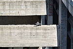Click to see Y-WB-DSC08761.JPG