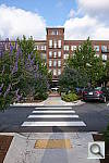 Click to see YDSC01207.JPG
