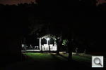 Click to see YDSC01447.JPG
