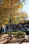Click to see YDSC00731.JPG