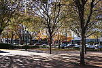 Click to see YDSC00753.JPG