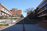Click to see YDSC01351-LPF-STD.JPG