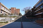 Click to see YDSC01352-LPF-HI.JPG