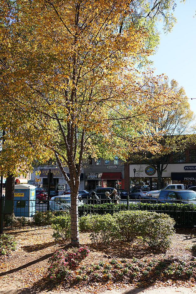 Sony RX1R II Field Test -- Gallery Image