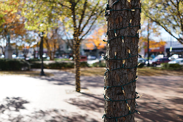 Sony RX1R II Field Test -- Gallery Image