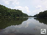 Click to see Y-SONY-TX30-WIDE.JPG