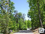 Click to see WG3PINE.JPG