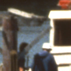 park.crop.jpg