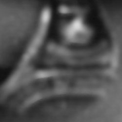 ring.crop.jpg