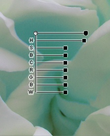 nx-cpt-adv.jpg