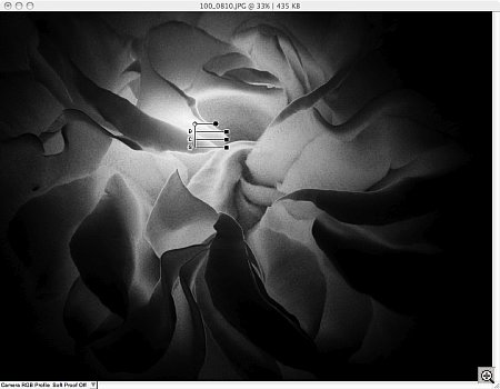 th-nx-view-sel.jpg