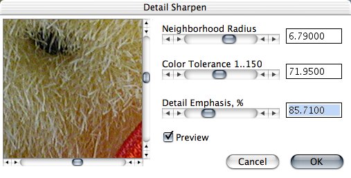 detailsharpen.mid.jpg