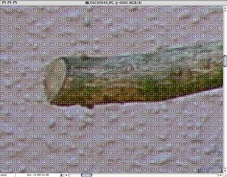 jpeg-sel.jpg