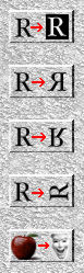 vf-rr.jpg