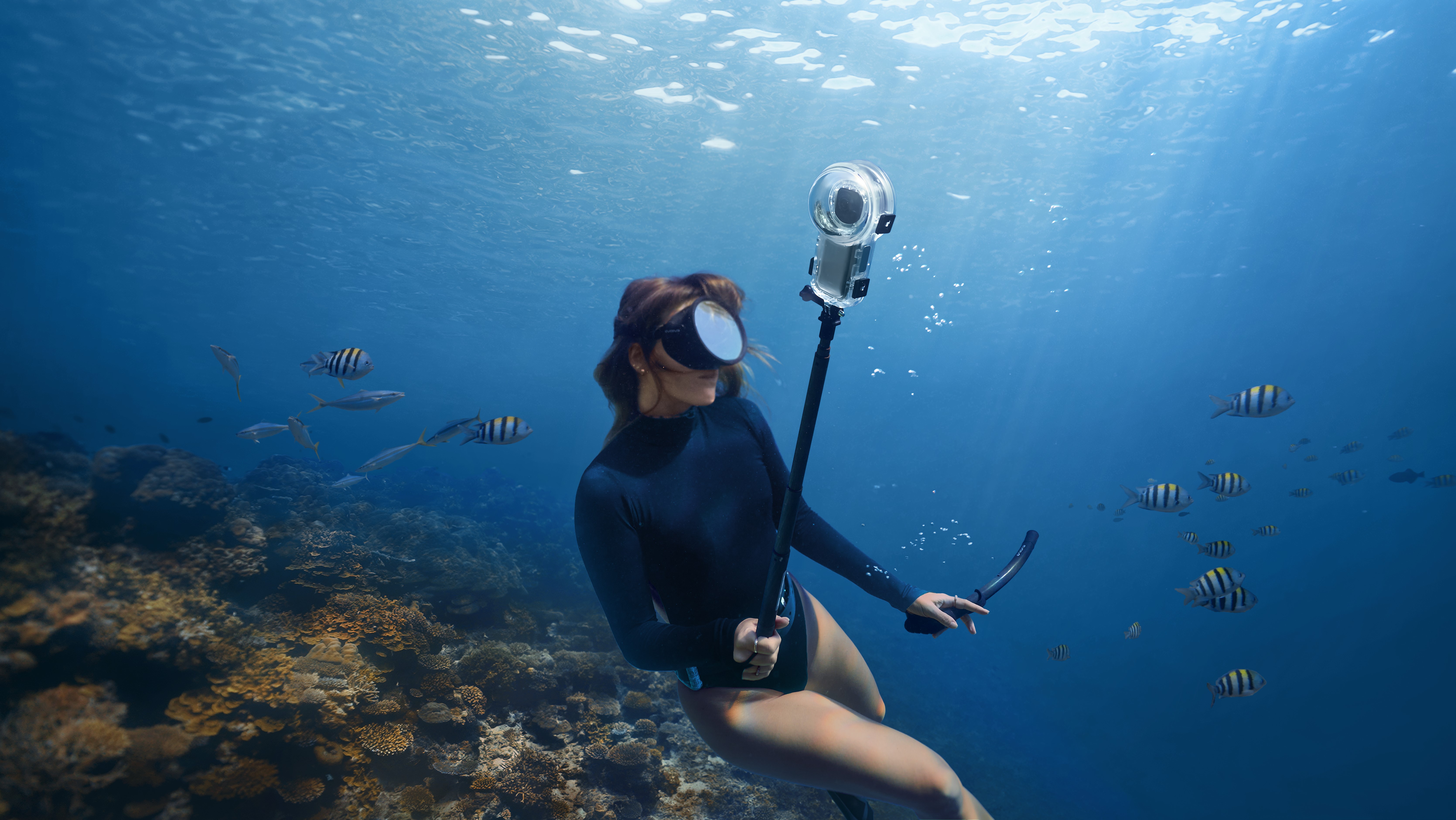 Insta360 X5 diving photo.