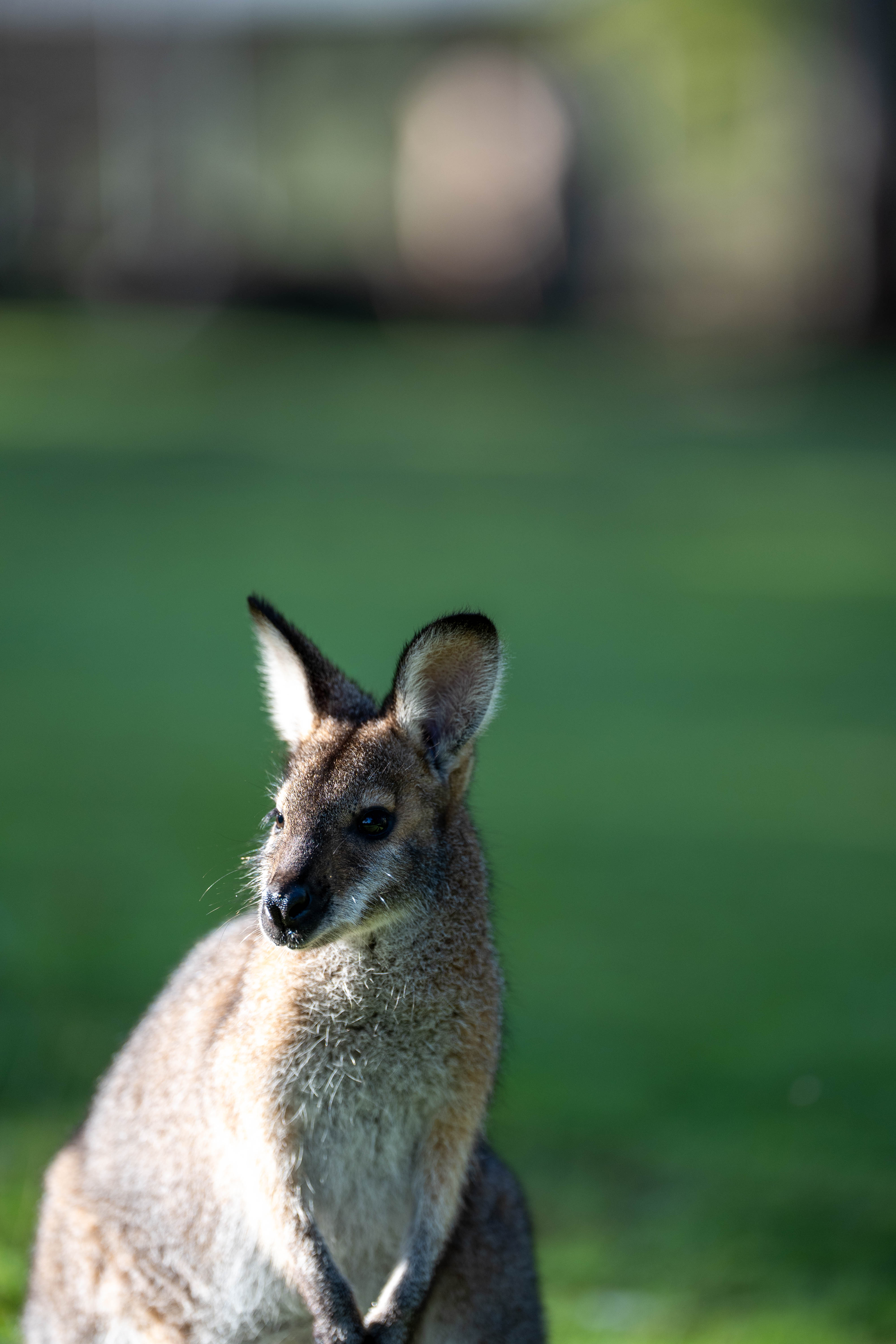 Sigma 200mm F/2 Sample Images by David Schloss. 