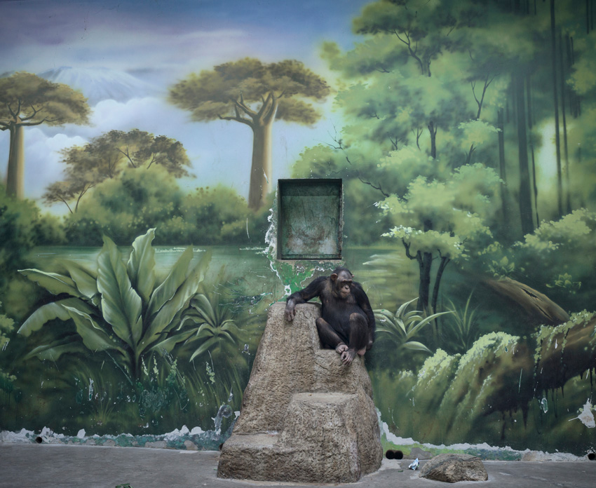 The Anthropocene Illusion by Zed Nelson.
