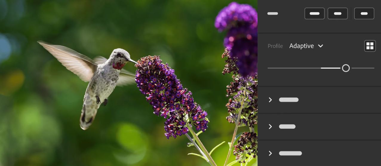 Adobe adds the Adaptive Profiles tool for Lightroom.