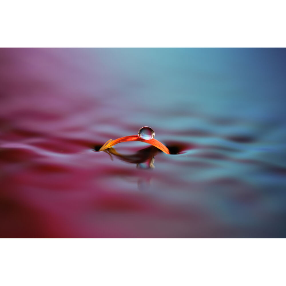  Sony FE 100mm F/2.8 GM sample images.