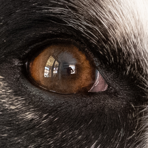 Fujinon GF 100-200mm f/5.6 R LM OIS WR Review: Field Test -- Gallery Image