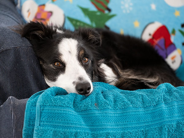 Fujinon GF 100-200mm f/5.6 R LM OIS WR Review: Field Test -- Gallery Image