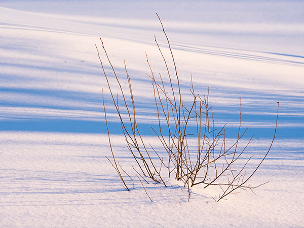 Fujinon GF 100-200mm f/5.6 R LM OIS WR Review: Field Test -- Gallery Image